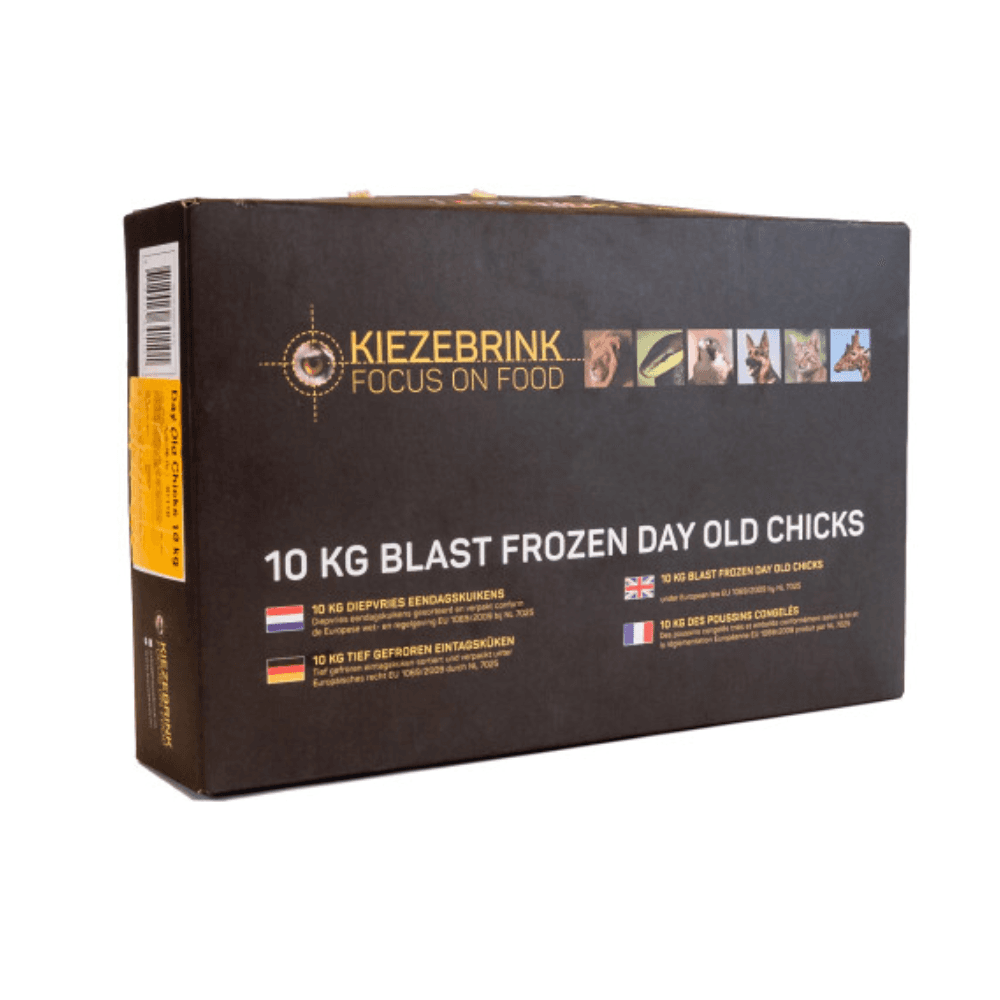 PALLET - Day Old Chicks