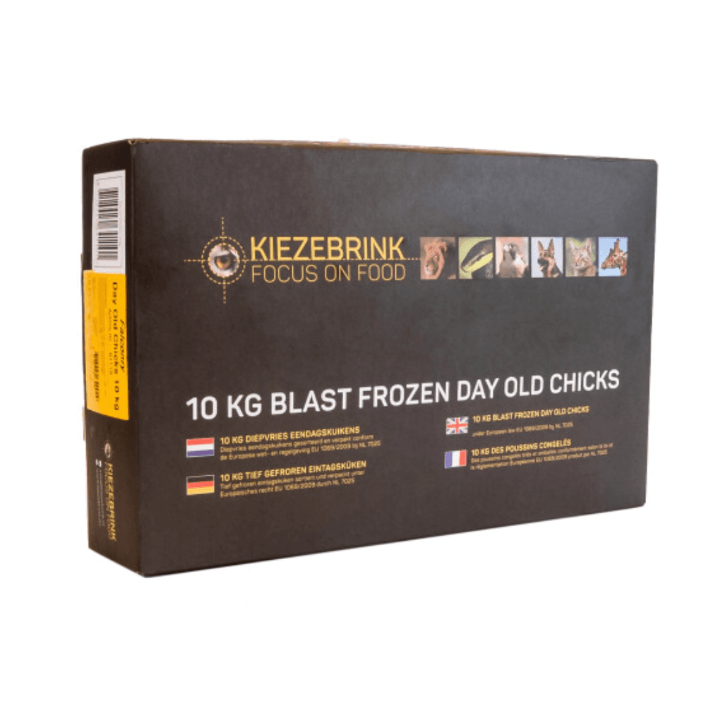 PREMIUM PALLET - Day Old Chicks