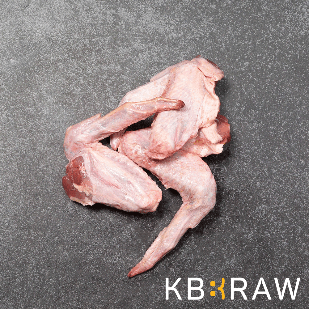 KB BARF - Duck Wings
