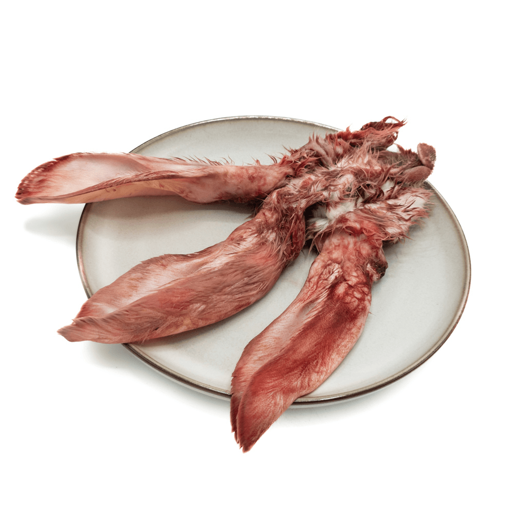 KB Extra - Rabbit Ears