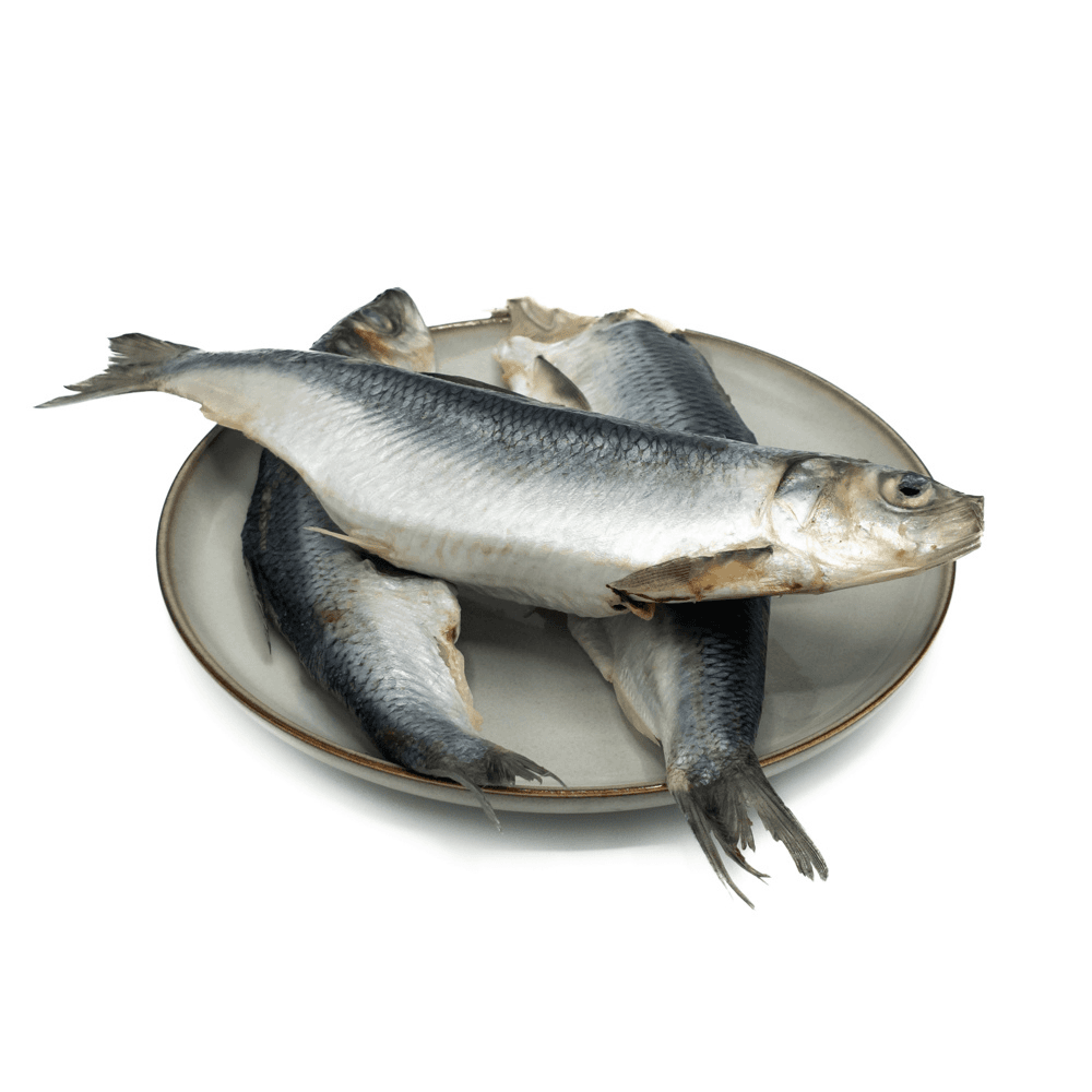 KB BARF - Herring