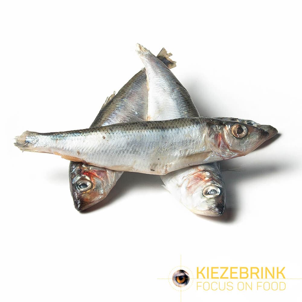 Herring large MSC - ca. 24 kg box