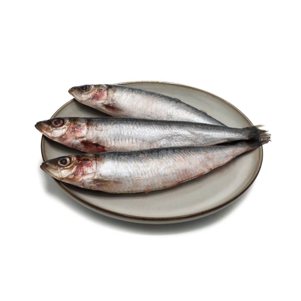 KB BARF - Sardines