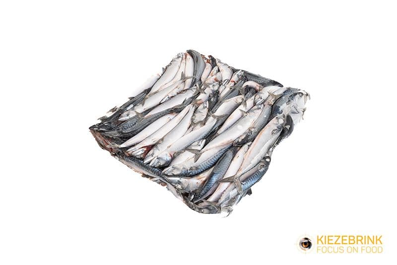 Mackerel - ca. 20 kg box