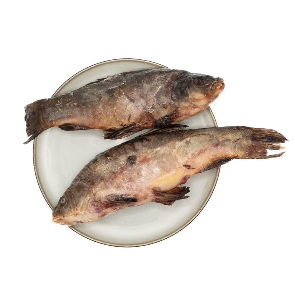 Tench - 10 kg box