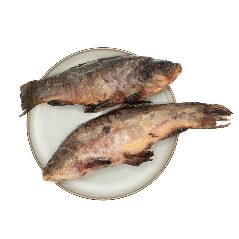 Tench - 10 kg box
