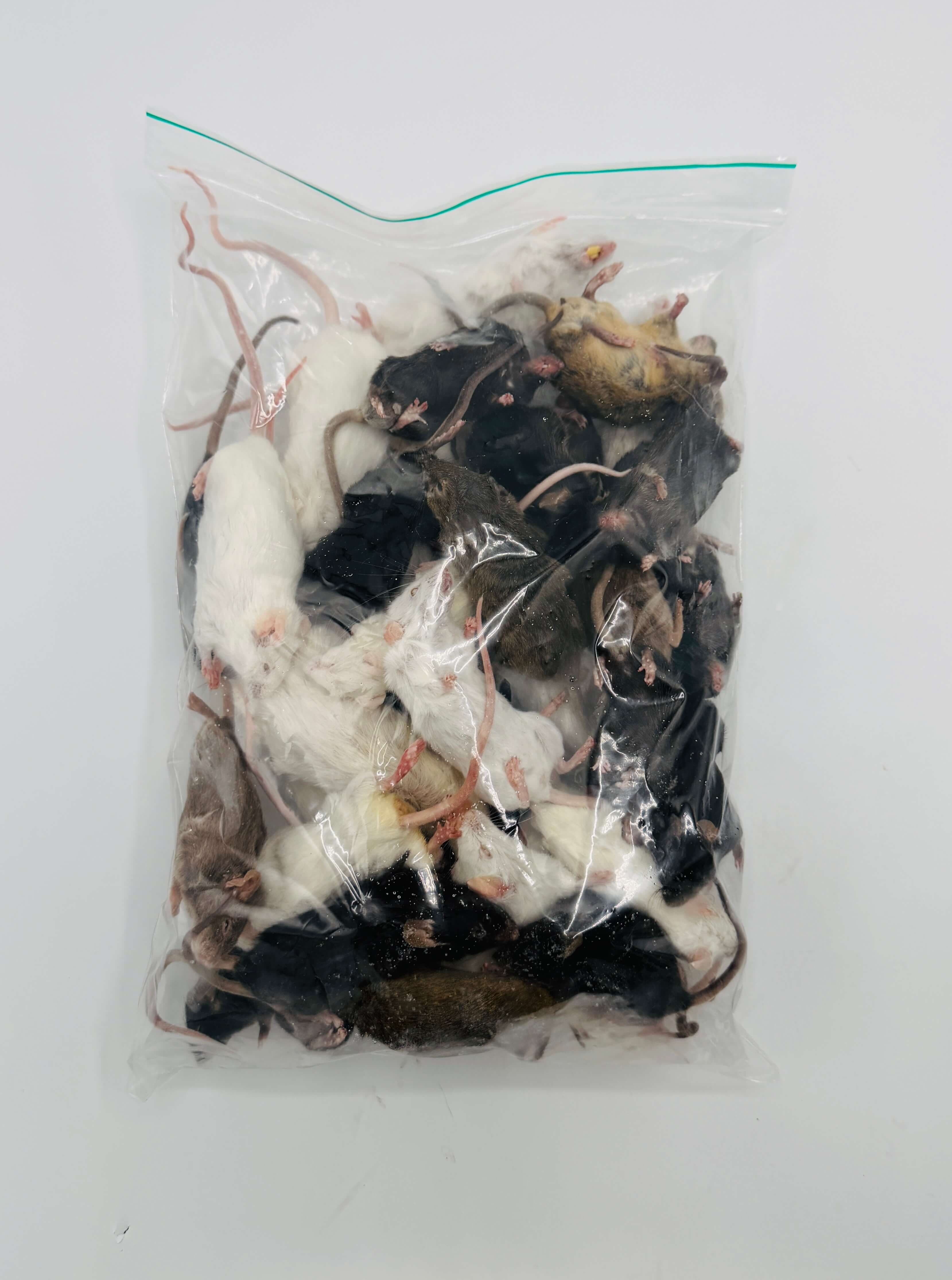 Mix Mice (6-40 g)