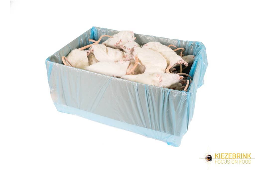 Large Rats (250-350 g)