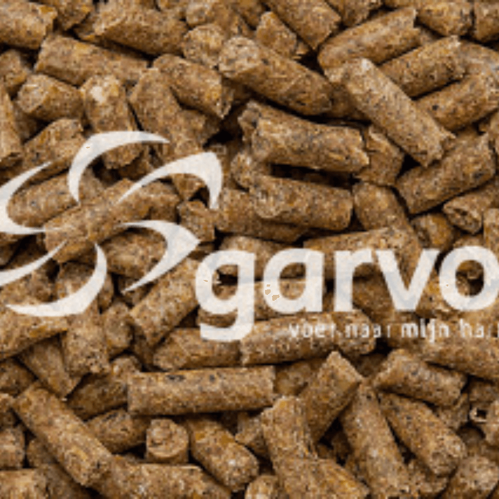 Fancy Poultry Pride (partridges, quails, pheasants)