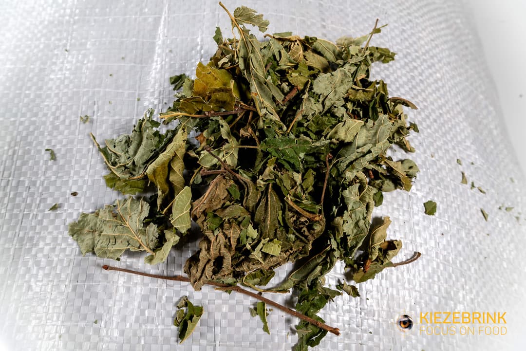 Hazelnut Leaves - 10-20 kg bag