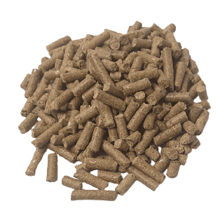 Zoo Line Old World Primate