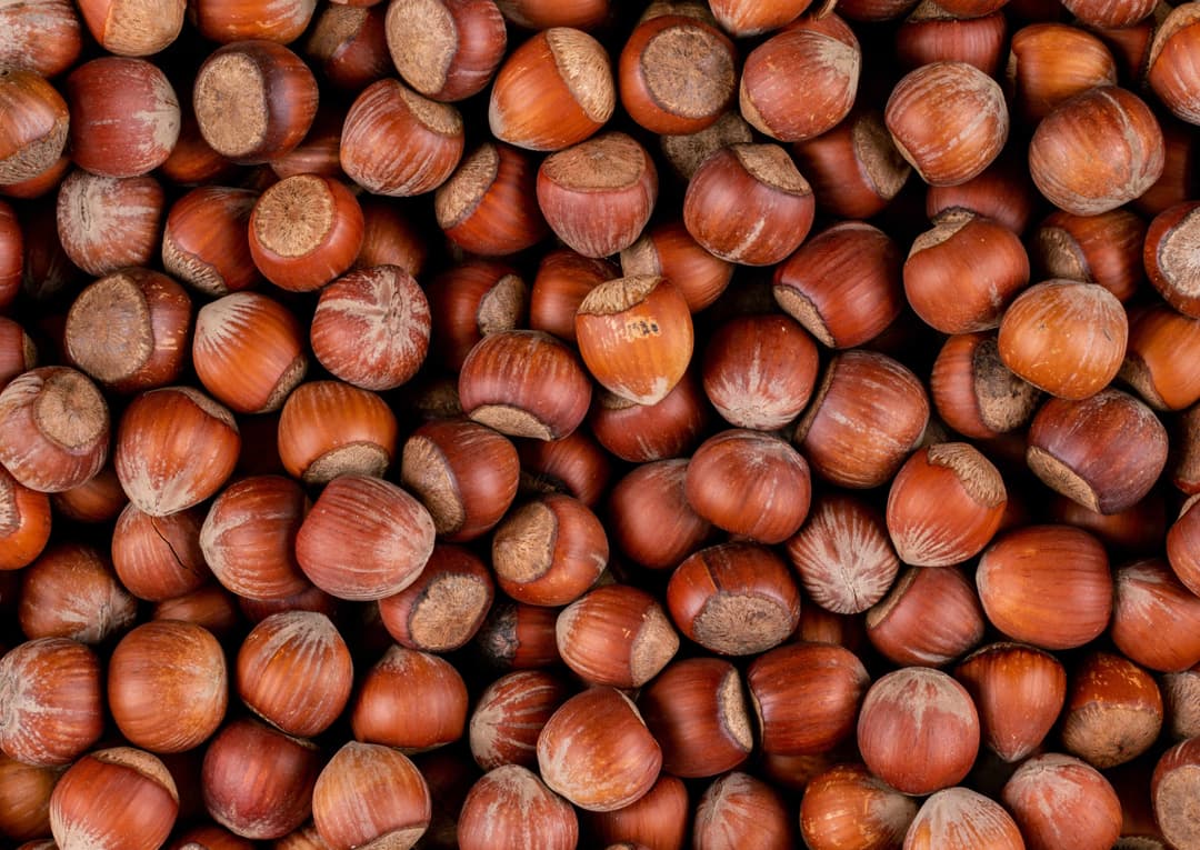Hazelnuts in shell - 12,5 kg