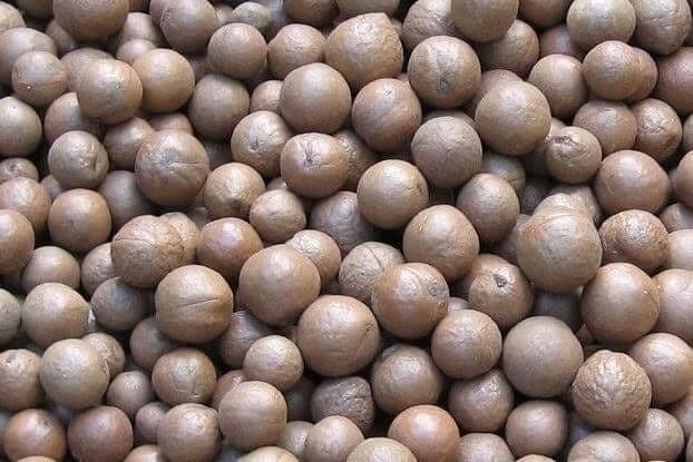 Macadamia nuts in shell - 10 kg