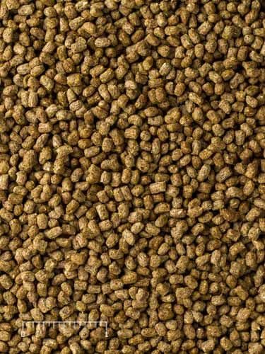 Mazuri Herbivorous Reptile - 226gm pack