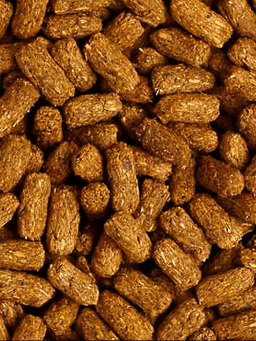 Mazuri LS Tortoise Diet - 340gm pack