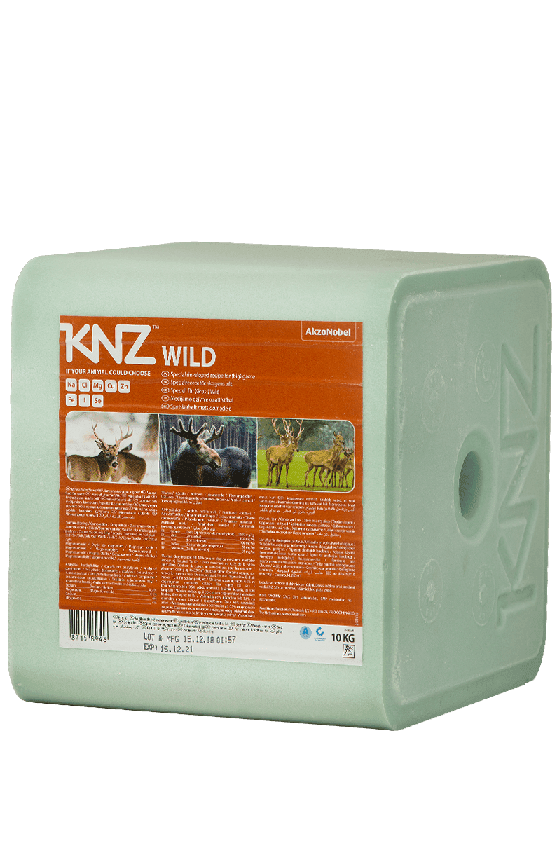 KNZ Mineral-lick Wildlife