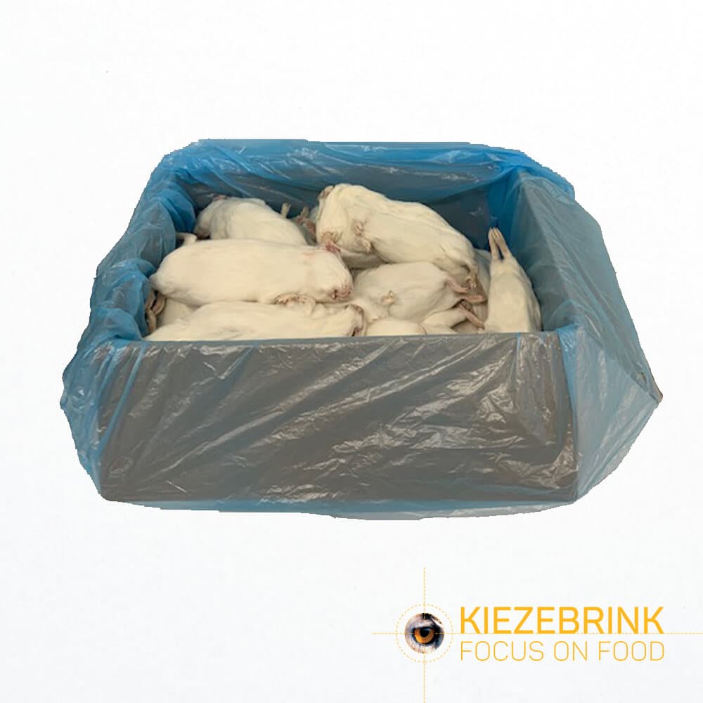 Guinea Pig Regular (300-600 g)