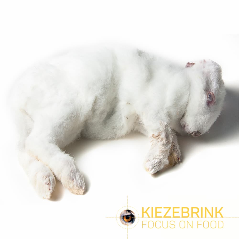 Large Rabbit (1-2 kg)