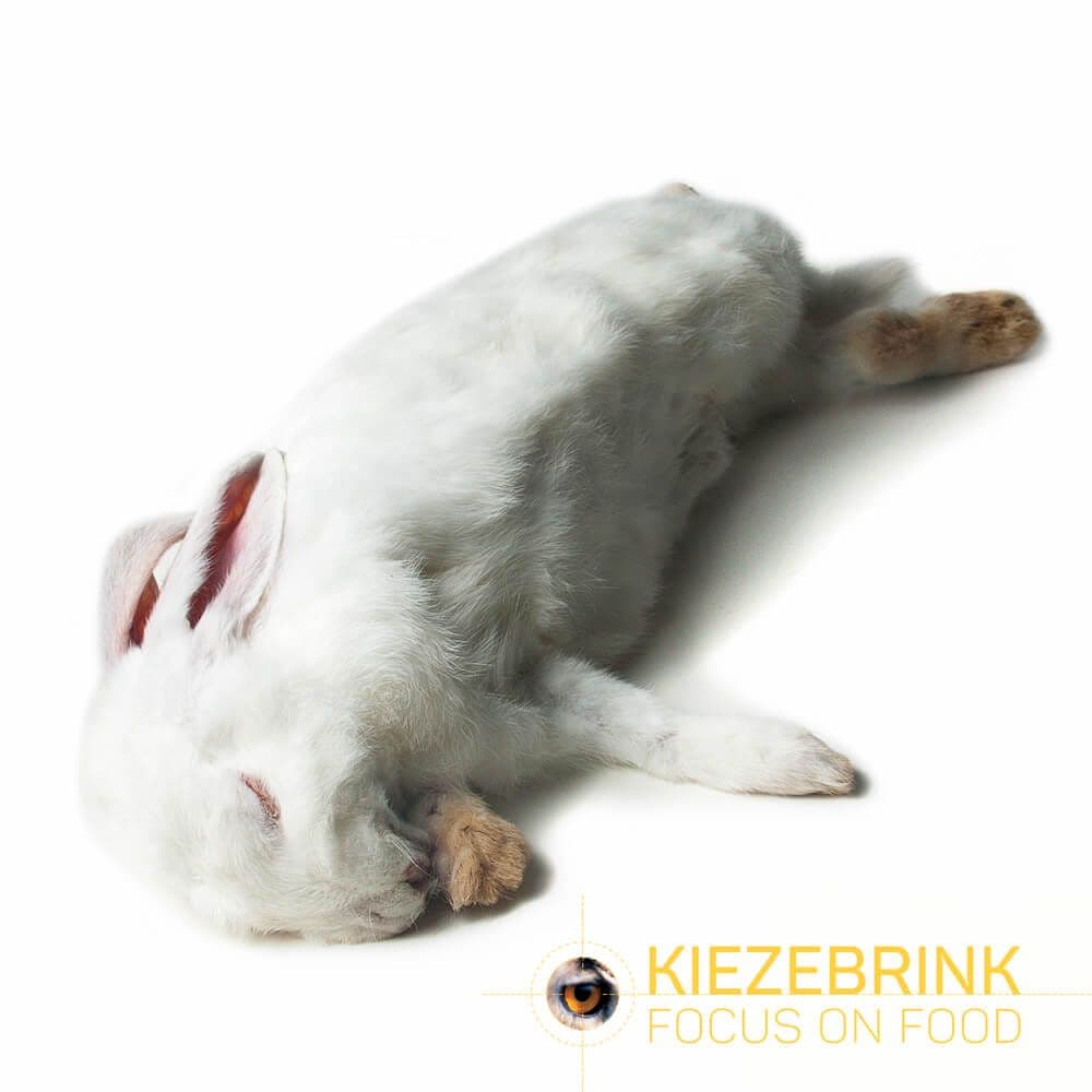 Giant Rabbit (2-3.5 kg)