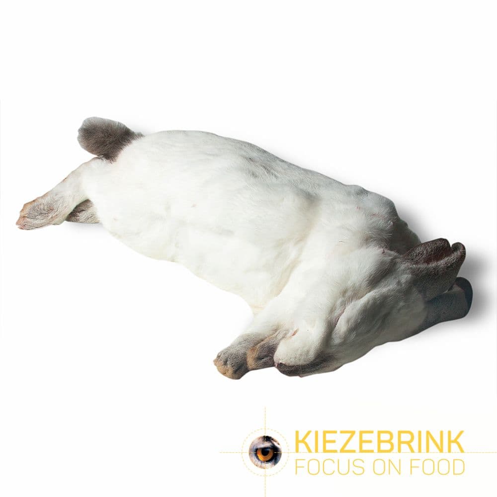 Extra-giant rabbit - (3.5 - 5kg)