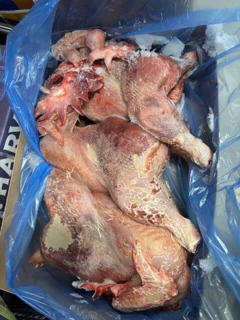 Plucked Chicken Ex-Lrg (ca. 4 kg) - 3 pcs