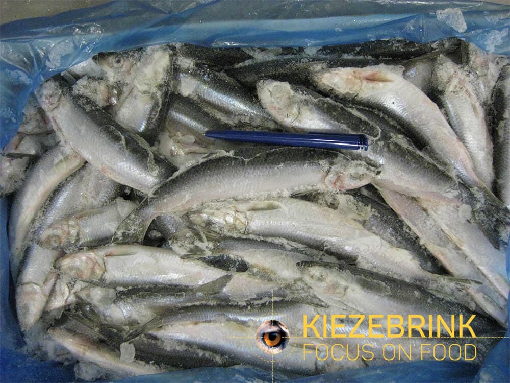Herring (UK)