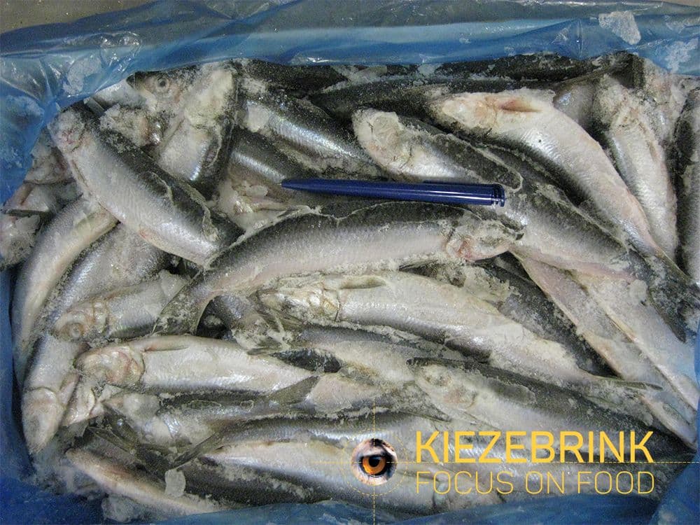 Herring (UK) Block -12kg