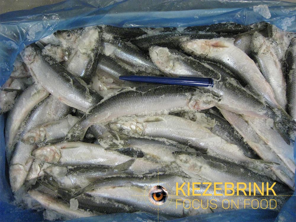 Herring (UK)