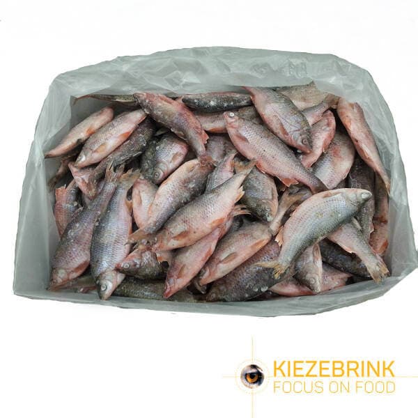 Fresh Water Fish (UK Roach) IQF