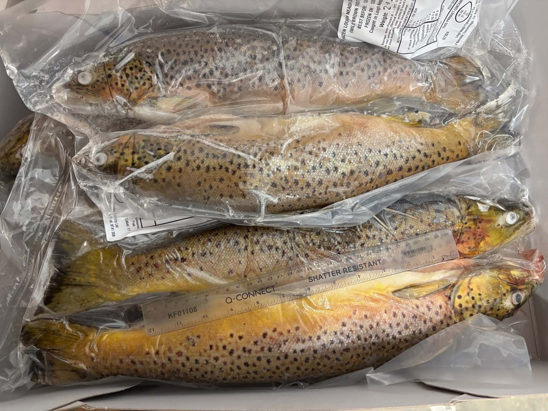 Trout Gutted (ca. 700 g)