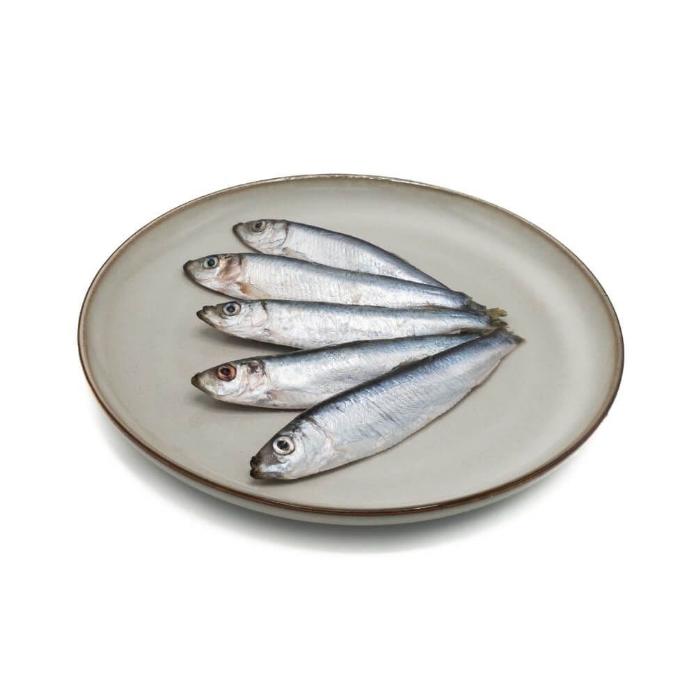 Sprats IQF - bulk box