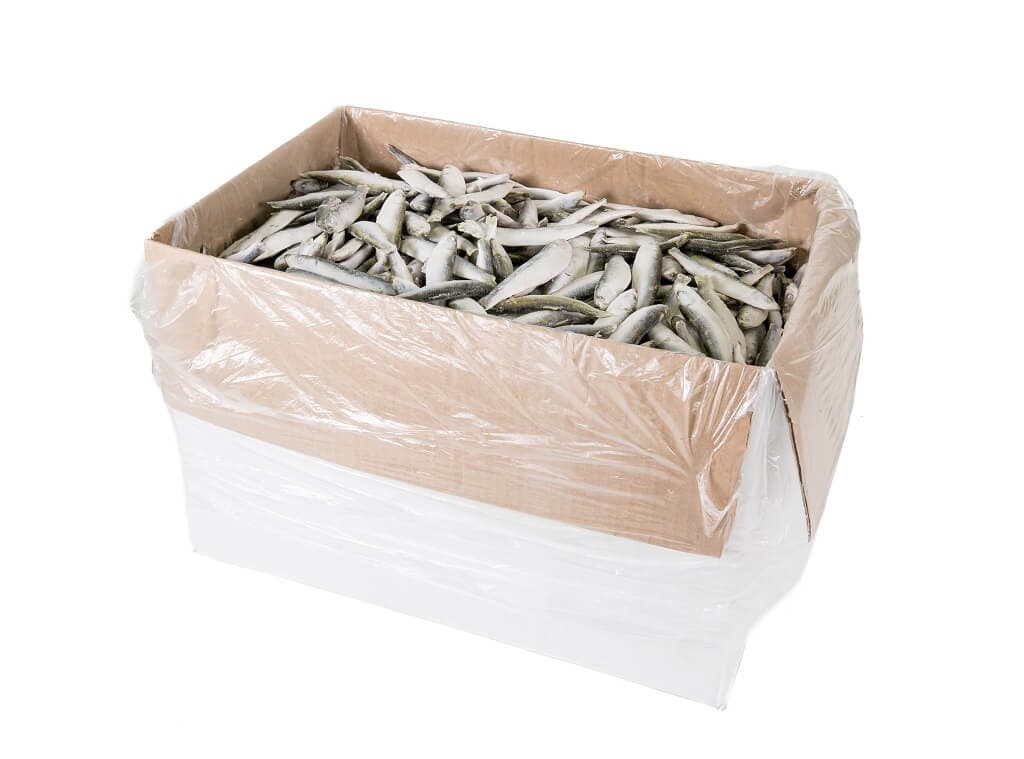 Sprats IQF - bulk box