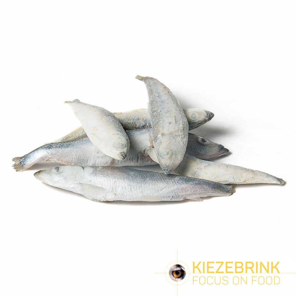 Sprats IQF -10kg - BULK BOX