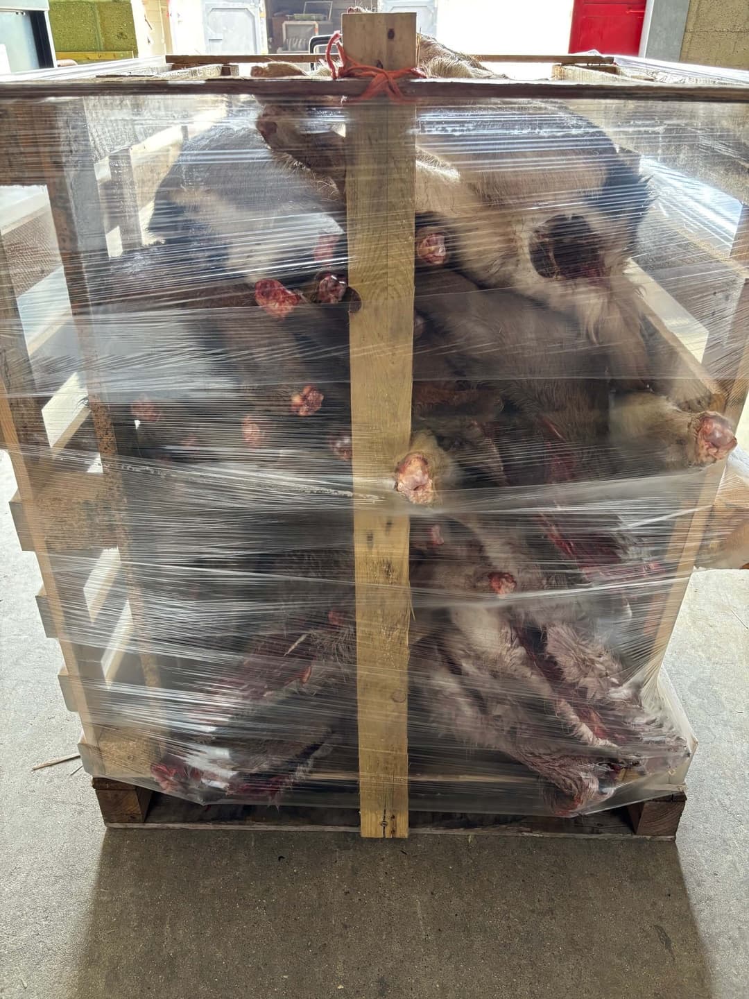Whole Deer - 300-400 kg crate