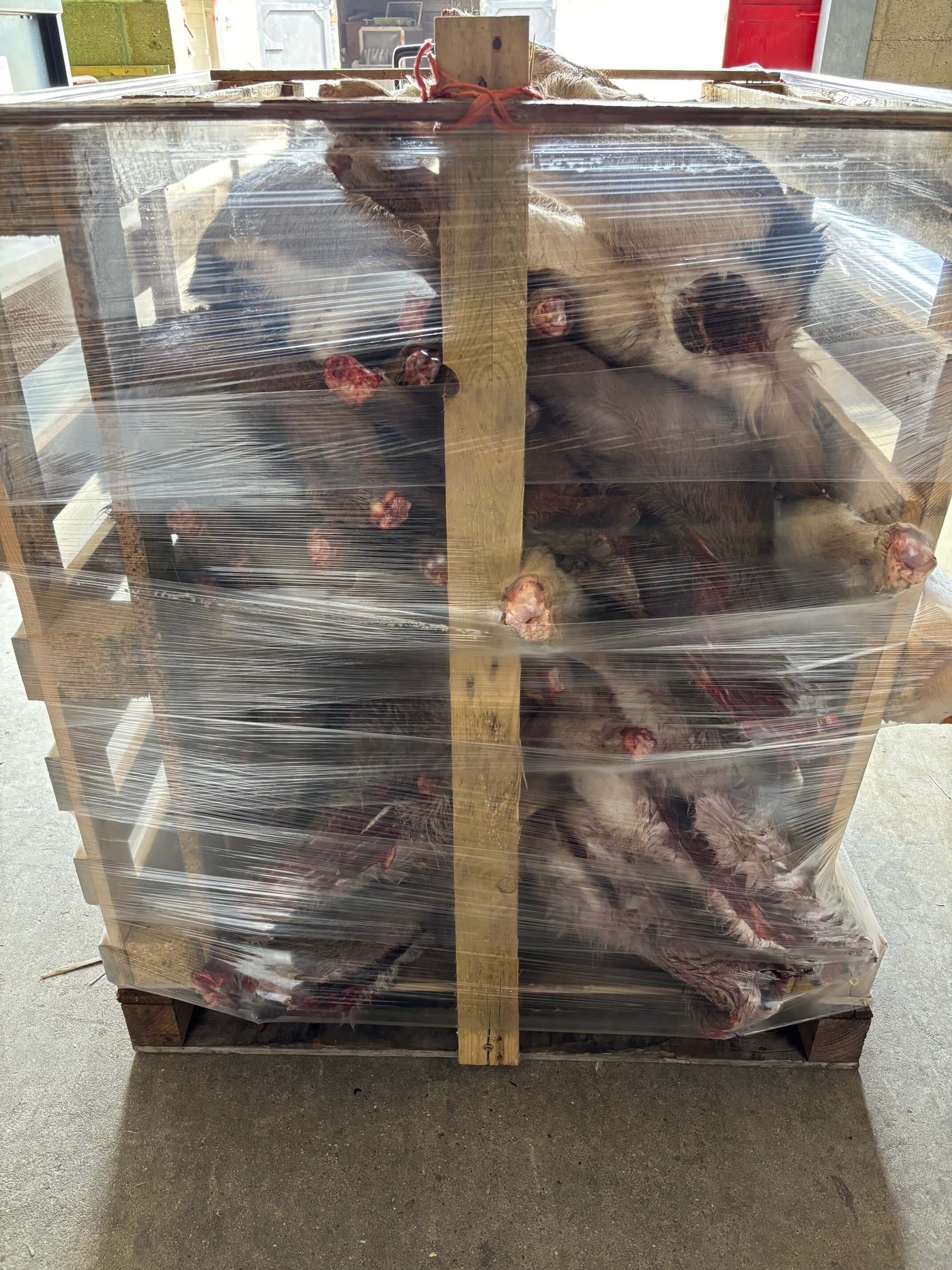 Whole Deer - 300-400 kg crate