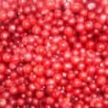 Redcurrants IQF