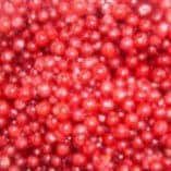 Redcurrants IQF