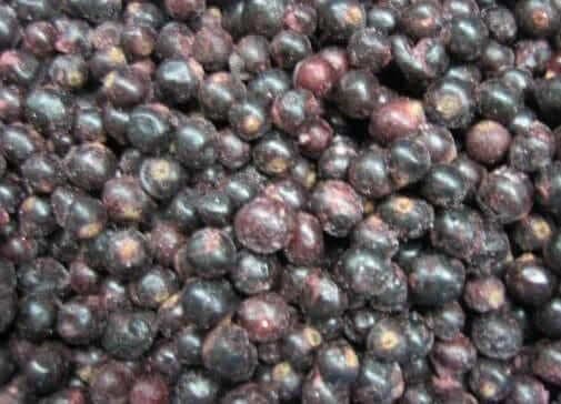Blackcurrants IQF