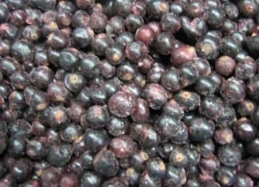 Blackcurrants IQF