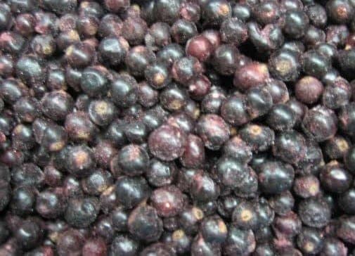 Blackcurrants IQF