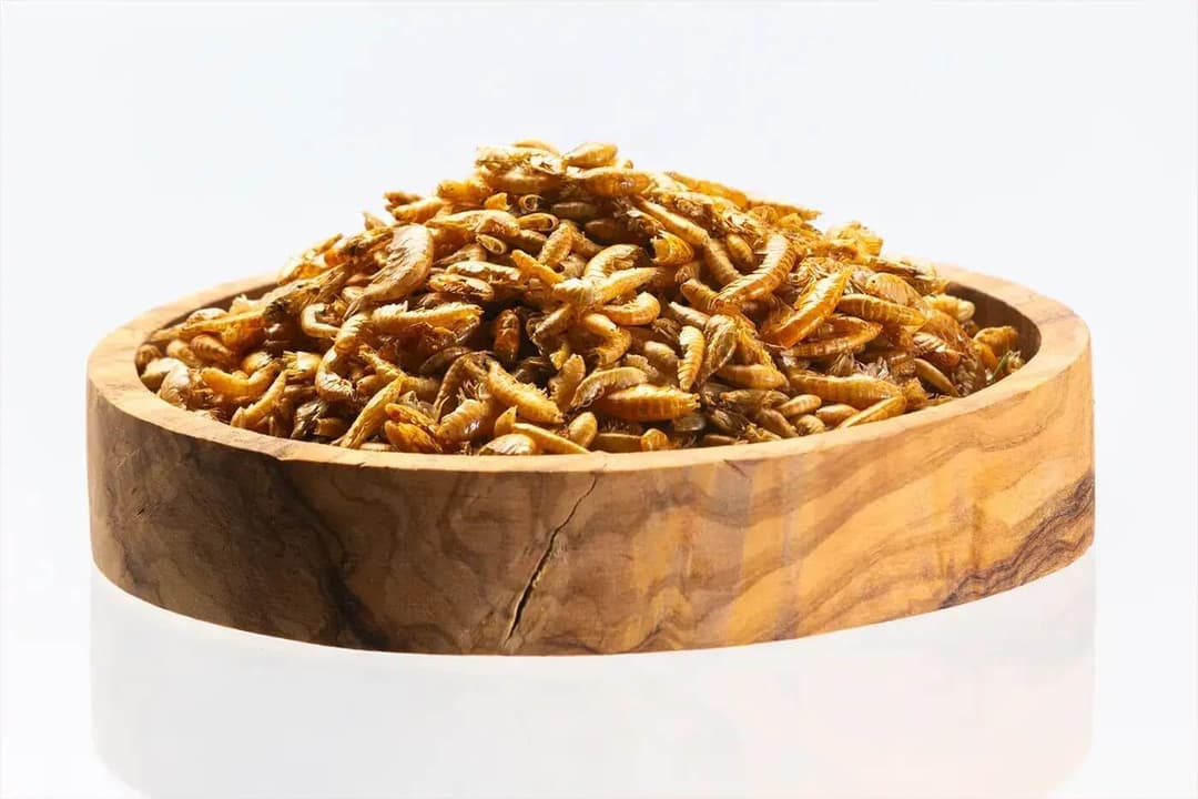 Dried Gammarus