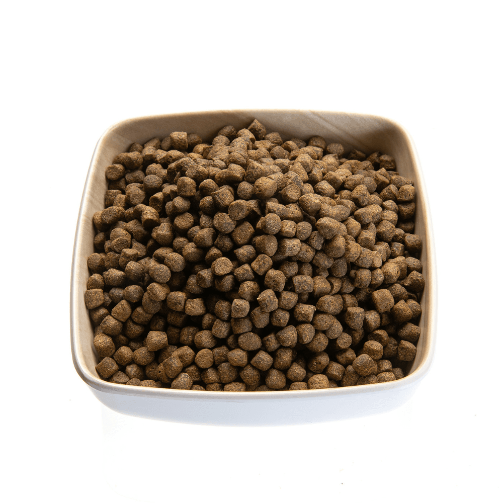 Cichlide Sticks Colour (2.5 mm)