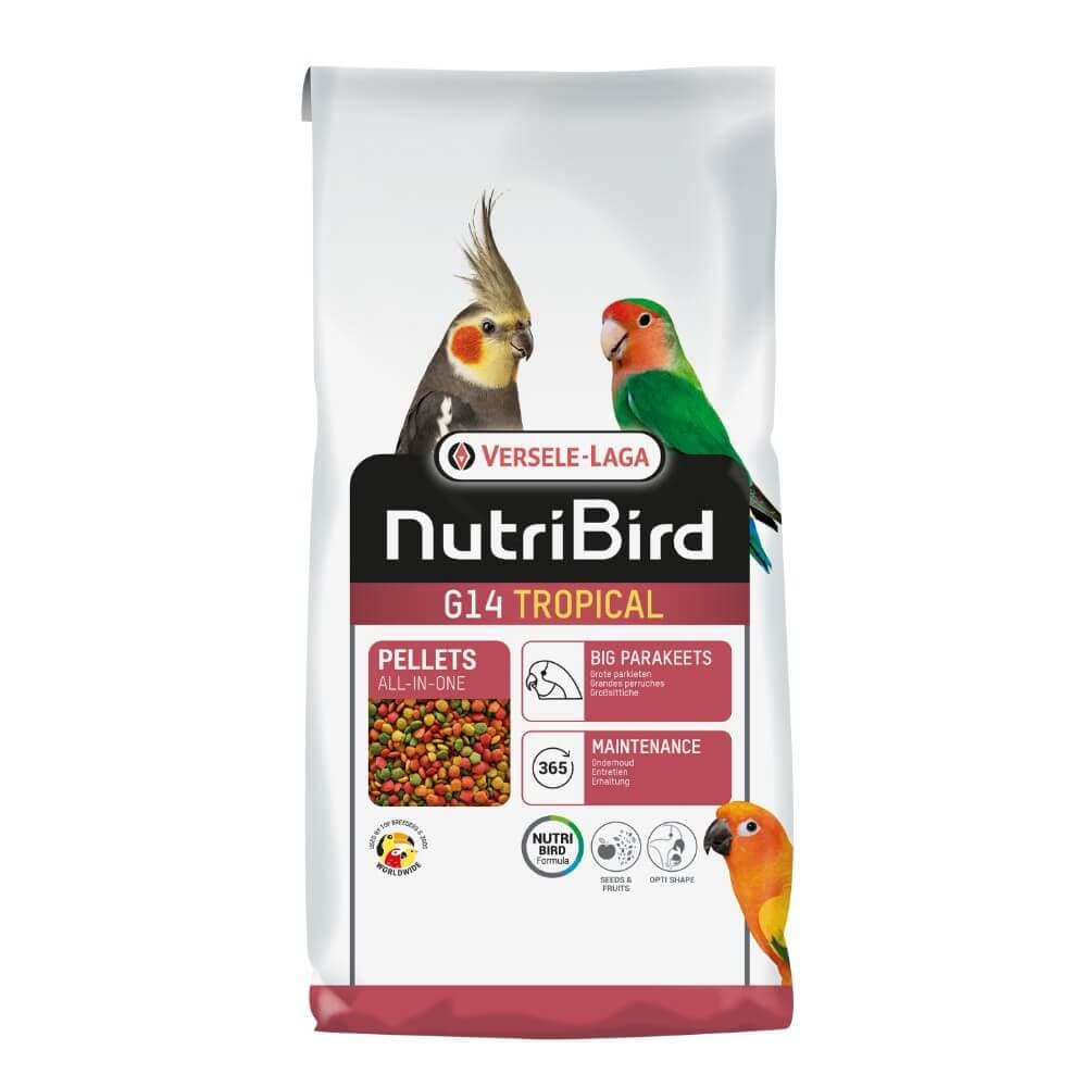 G14 Large Parakeet Tropical Maintenance