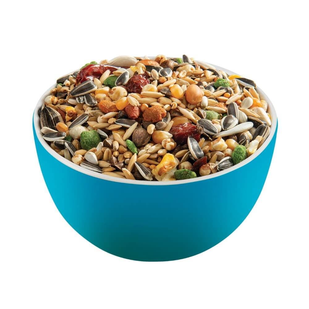 Amazone Parrot Mix