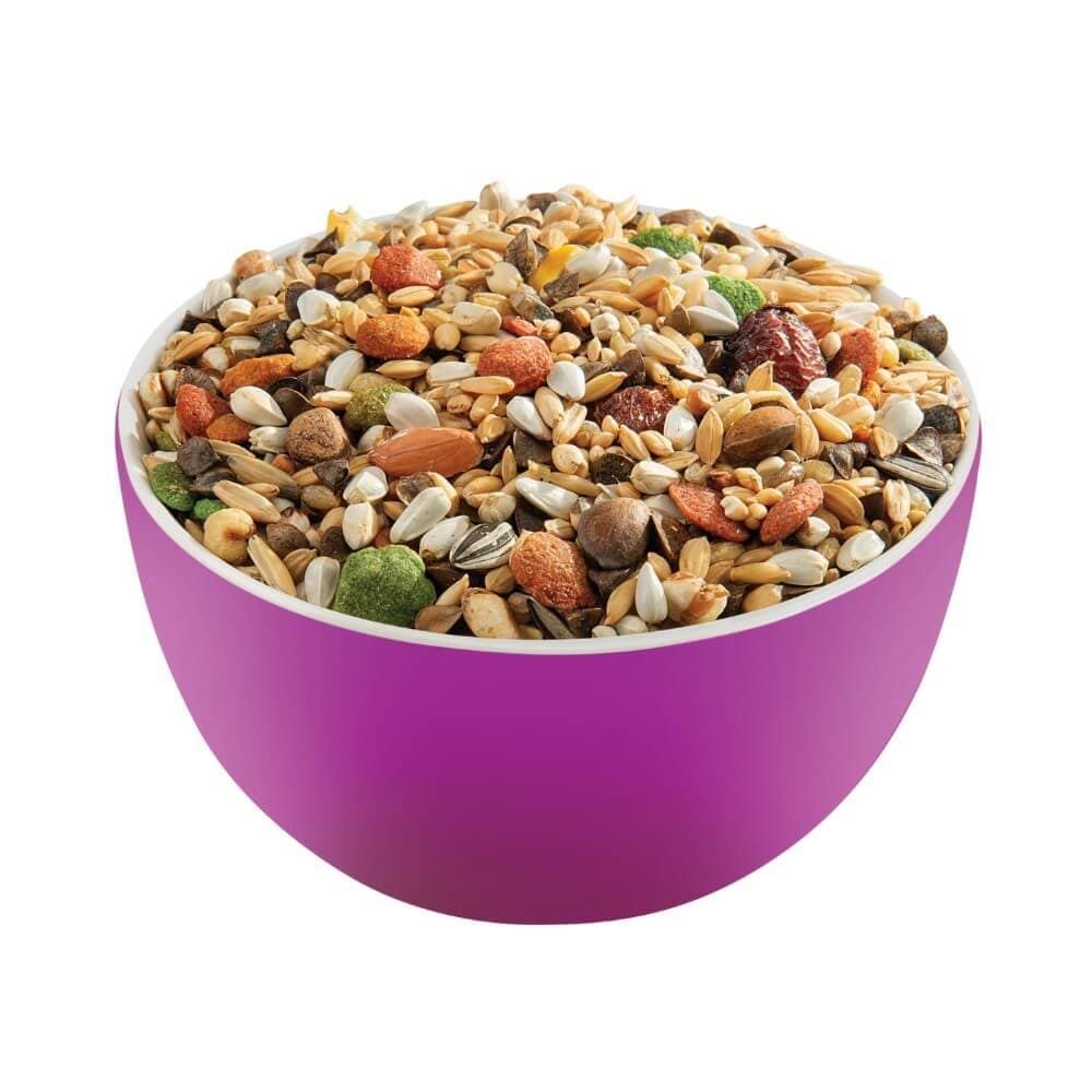 Australian Parrot Mix