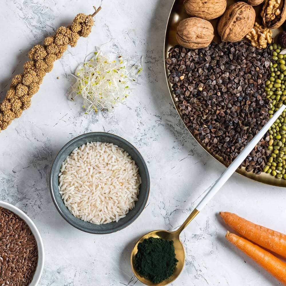 Wisbroek Insect Eater Diet