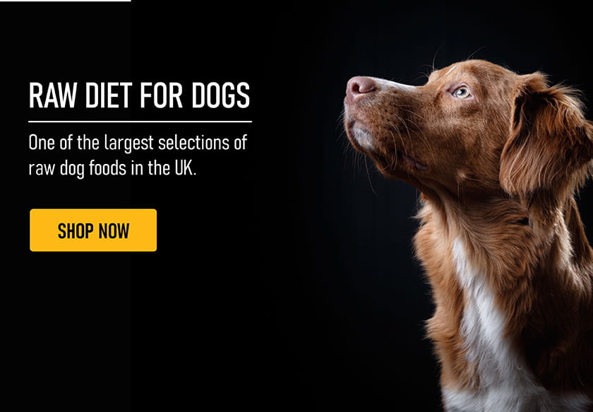 Dog Food
