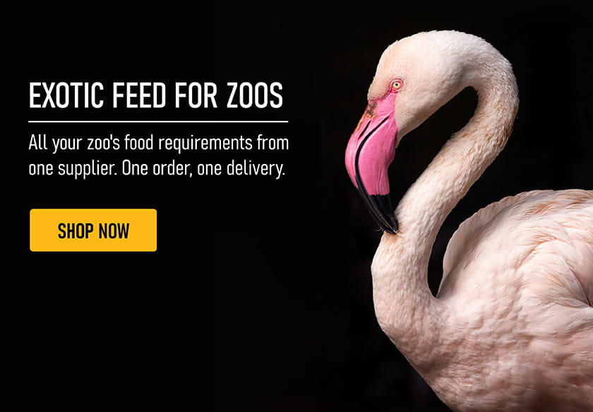 Zoos