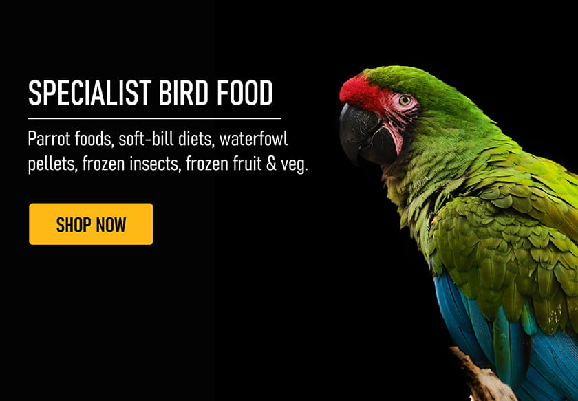 avian birdfood