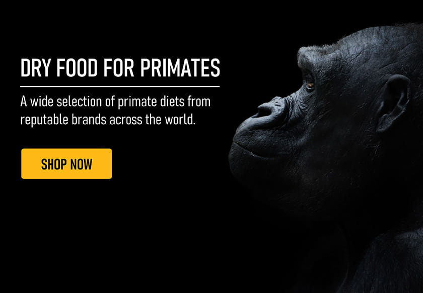 Primates